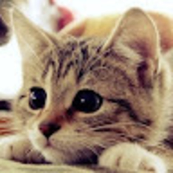 Meet your Posher, Mr - Picture 1 of 1